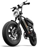 URLIFE Electric Bike for Adults, 16" x 3.0 Fat Tires Ebike, Range 100KM, 48V 13Ah Removable Battery and 250W Brushless Motor Electric Bicycle, Dual Suspension, Color LCD Display E Bike for Teens