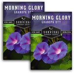 Survival Garden Seeds - Grandpa OTT Morning Glory Seed for Planting - 2 Packs with Instructions to Plant and Grow Ipomoea Purpurea in Your Home Vegetable Garden - Non-GMO Heirloom Variety