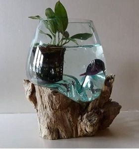 Petit Aqua
