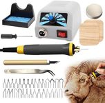 FIRElood LH20 Wood Burning Kit,Pyrography Wood Burning Tool Set with Pyrography Machine, 30 Wire Nibs, Detachable Wood Burning Pen, Adjustable Temperature 200-750℃(UK Plug)