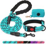 Puppy Collar And Leash