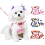 Lukovee Puppy Harness and Leash Set, No Pull Lightweight Pet Harness Vest for Puppy Small and Medium Size Dog, Adjustable Soft Suede Dog Leash Set (Pink Strawberry, XXS)