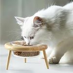 Navaris Raised Cat Bowl - Cat Food Bowl Raised with Tilted Stand - Elevated Feeding Ceramic Cat Bowls - Ergonomic Cat Feeding or Water Bowls on a Stand - High Bowl for Cat