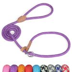 Grand Line Durable Slip Lead Dog Leash, 1.5M Reflective Training Dog Lead Slip Rope, Anti-choking Adjustable Pet Slip Lead for Small, Medium, Large Dogs and Cats (1.5m*0.6cm, Purple)