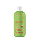 ATTITUDE Shampoo and Body Wash for Kids, Made in Canada, EWG Verified, Dermatologically Tested, Plant- and Mineral-Based Ingredients, Vegan, Watermelon and Coco, 473 mL