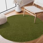 SANAT Short Pile Living Room Rug - Plain Modern Rugs for Bedroom, Study, Office, Hallway, Children's Room and Kitchen - Green, 120 cm Round