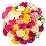 Fresh Flowers- 100 Assorted Carnati