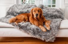 PupProtector Waterproof Throw Blank