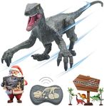 Remote Control Dinosaur Toys for Bo