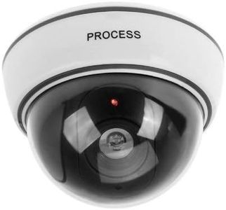 BW Finta telecamera di sorveglianza dome