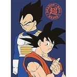 Fleece Blanket Dragon Ball Super So