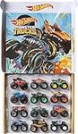 Hot Wheels Monster Trucks 1:64 Scal