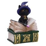 Nemesis Now Binx Small Witches Familiar Black Cat and Spellbook Figurine Box, Green, 11cm