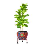 Kayra Decor 4 Feet Fiddle Leaf Fig Tree - Big Artificial Plants for Home Decor with Pot (Black)