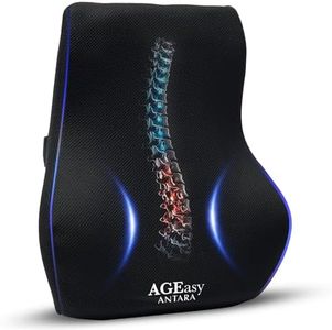 AGEasy (Max Group Lumbar Back Support | Orthopedic Lumbar Support for Back Pain Relief | High Density Memory Foam (Black)