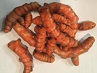 Fresh Organic Turmeric Root - 1 Lb 