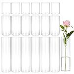CEWOR 18pcs Glass Cylinder Vase 4, 