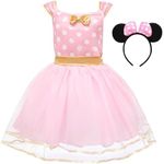 Princess Costumes Tulle Dress Birth