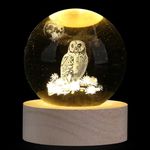 XIANNVXI Owl Crystal Ball Paperweight Owl Gifts for Women Owl Ornament Owl Decor Owl Lamp Crystal Lamp Sphere Lamp Cute Bedroom Decoration Office Decor