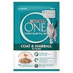 PURINA ONE Adult Hairball Chicken W