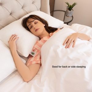Martian Dreams LunaCore Hybrid Pillows, 2-Pack – Supportive Sleep