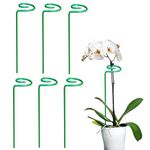 Elegent Home Plant Support Stakes Single stem Flower Plant Support Trellis for Amaryllis Orchid (Pcs of 6)