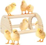 Cubolar Pine Chicken Perch with Mirror, Strong Chick Jungle Gym Roosting Bar, Chicken Toys for Coop and Brooder, Training Perch Toys for Large Bird, Parrot, Macaw, Hens (Small)