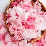 180 PCS Real Pink White Rose Flower Petals Confetti for Wedding Flower Girl to Throw, 1.75oz Freeze Dried Rose Petal for Proposal Centerpieces BabyShower Valentine's Day Romantic Night Decor