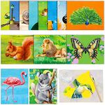 20 Pcs Dementia Products for Elderly with 1 Pcs Painting Brush Animal Theme Drawing Reusable Water Painting Toys Alzheimers Activities Alzheimers Gifts Coloring Dementia Games for Elderly Adults