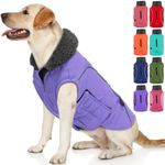 EMUST Dog Coats Winter, Thick Dog Clothes for Medium Dogs Boy, Coats for Dogs Winter with Harness Hole, Dog Coats for Cold Weather, Purple, M