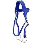 tooloflife Equestrian Horses Bridle with Rein Red Adjustable Horse Halter Harness Horse Headstalls horse bit with Soft Cushion (Small, Blue)