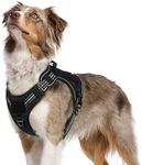 rabbitgoo Tactical Dog Harness No P