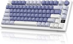 RK ROYAL KLUDGE M75 Mechanical Keyb