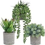 Winlyn Set of 3 Mini Potted Succule