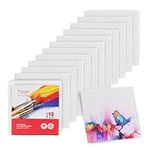 Artlicious Canvases for Painting - 