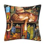 DILOXNSU Cat Cushion Covers Lovely Bookshelf Sleeping Cat Gifts for Cat Lovers Double-Sided Square Decor Pillow Cover 45 x 45 Sofa Livingroom Bed Farmhouse Throw Pillow Case 18"x18"