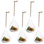 Juvale 5-Pack Hanging Glass Terrarium - Glass Teardrop Terrarium Holder Succulent Plants, Tealight Candles, Indoor Outdoor House Decoration, 3.15 x 5.51 x 3.15 inches