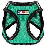 Pawtitas Dog Harness Cat Harness Adjustable Step in Dog Harness Reflective Dog Harness Training Walking of Your Puppy Harness Large Aquamarine Harnais Pour Chien Harnais Pour Chat L