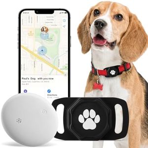 Smart Pet 
