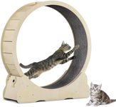 Hibtn Large Cat Exercise Wheel, 43.