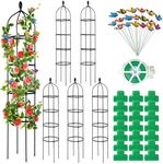JaGely 6 Pack 6ft Garden Obelisk Tr