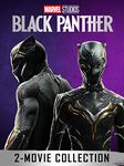 Black Panther: 2 Movie Collection