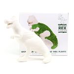 Gift Republic Dinosaur T-Rex Chia-Saurus Chia Planter Grow Kit with Seeds,White,GR452150