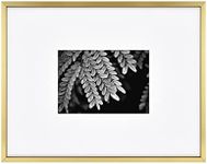 MCS Master & Co. Foundry Metal Gallery Wall Frame, Brass, 11 x 14 in matted to 5 x 7 in