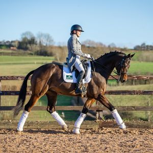 SPILLERS Conditioning Fibre Horse Feed, 20kg Bag