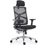 HOLLUDLE Ergonomic Office Chair with Adaptive Backrest, High Back Computer Desk Chair with 4D Armrests, Adjustable Seat Depth, Lumbar Support and 2D Headrest, Swivel Task Chair, Black