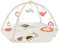 Skip Hop Baby Play Gym 3-in-1 Senso
