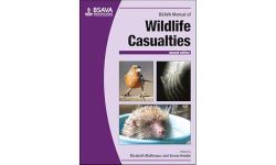 BSAVA Manual of Wildlife Casualties (BSAVA British Small Animal Veterinary Association)