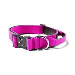 BullyBillows 4cm Combat Collar | Triple Stitched Nylon Dog Collar | Specially Crafted Clip For Quick Release & Lock | Suitable For All Dog Breeds | Magentas Large - 19-26" / 48-66cm