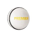 DSC Premier Leather Cricket Ball (White)